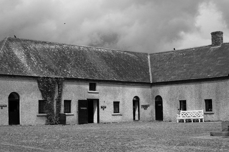 Black and white_0004